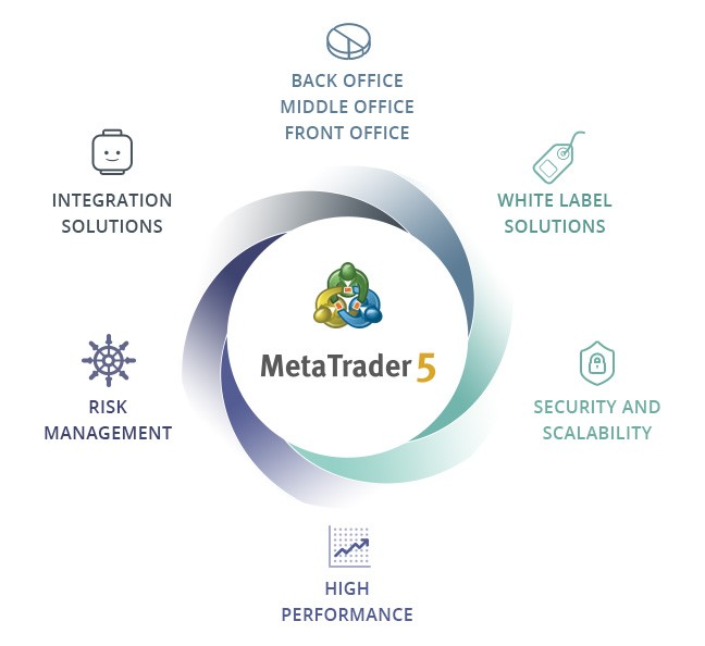 MT5 Platform Components