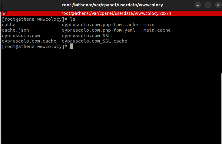 Edit Document Root of cPanel Main Domain (1)