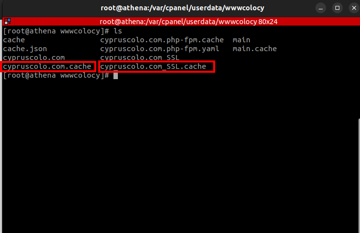 Edit Document Root of cPanel Main Domain (4)