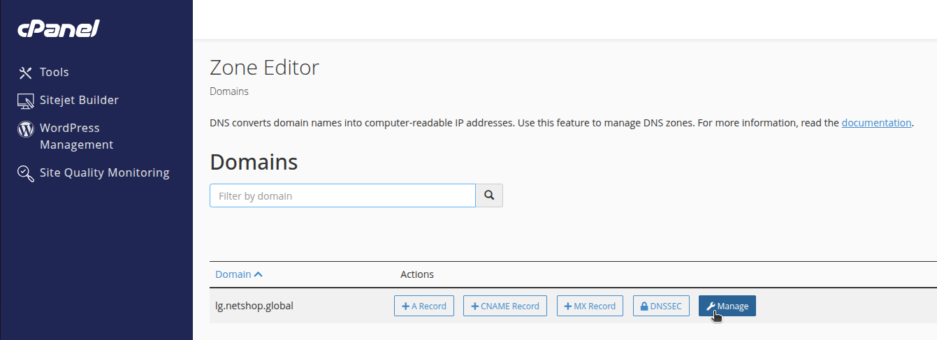 Create a CAA DNS Record in cPanel - Step 2