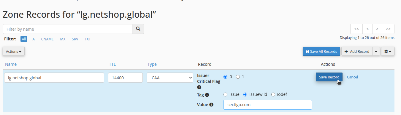 Create a CAA DNS Record in cPanel - Step 4